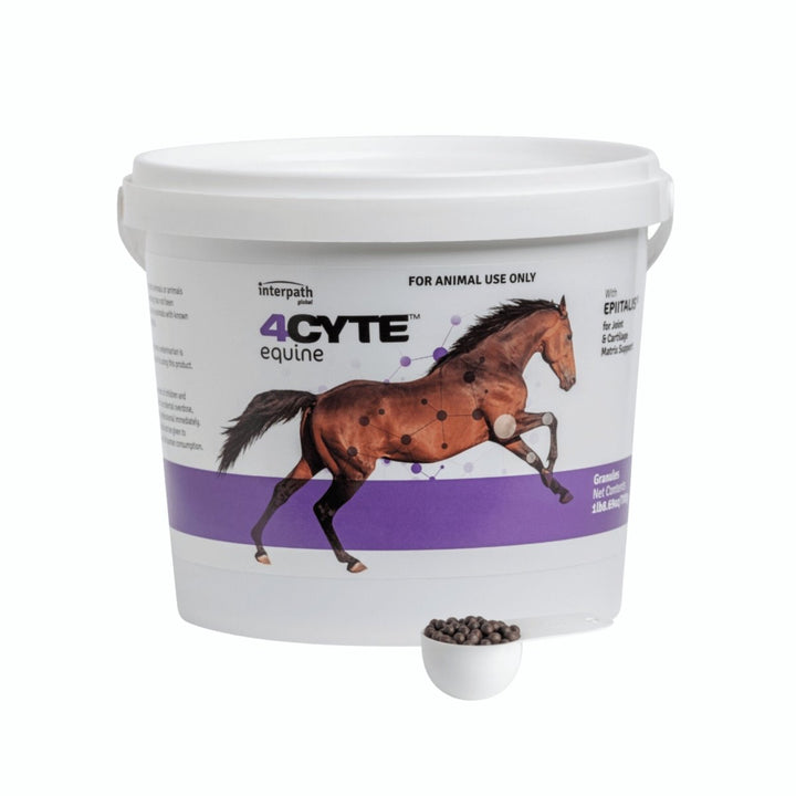 4CYTE Equine Granules - 700g - Pet Supply