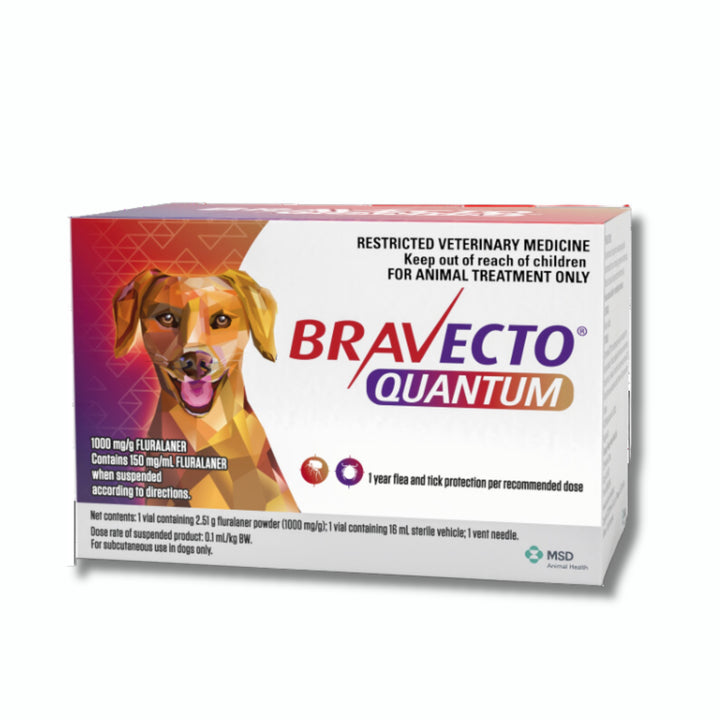 Bravecto Quantum Flea Treatment