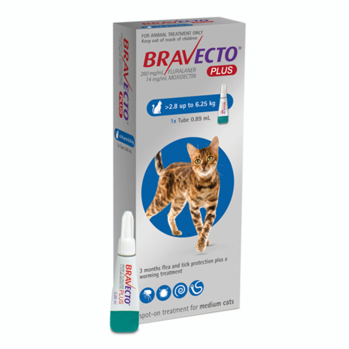 Bravecto Plus for Cats - Medium