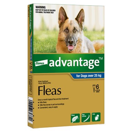 Advantage Dog X - Large (25kg+) 6 Pack - Pet Supply