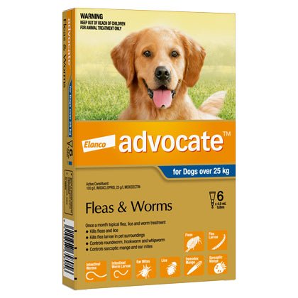 Advocate Dog XL (25kg+) - 6 Pack - Pet Supply