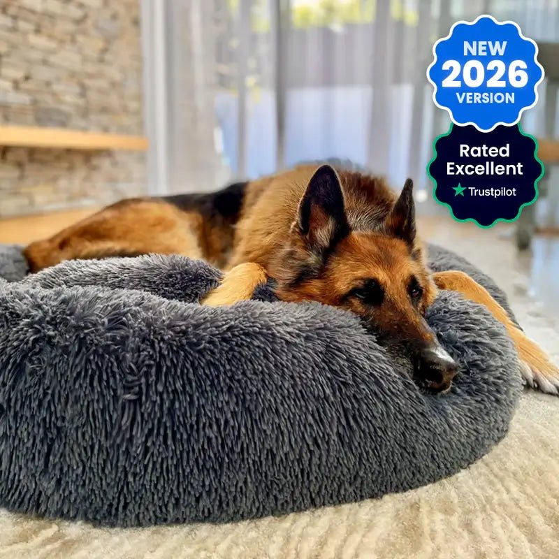 Brooklyn® Deep Sleep Dog Beds - Pet Supply