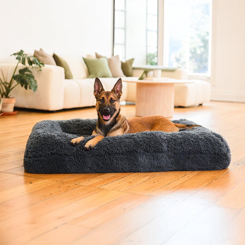 Brooklyn® Memory Foam Bolster Bed - Pet Supply