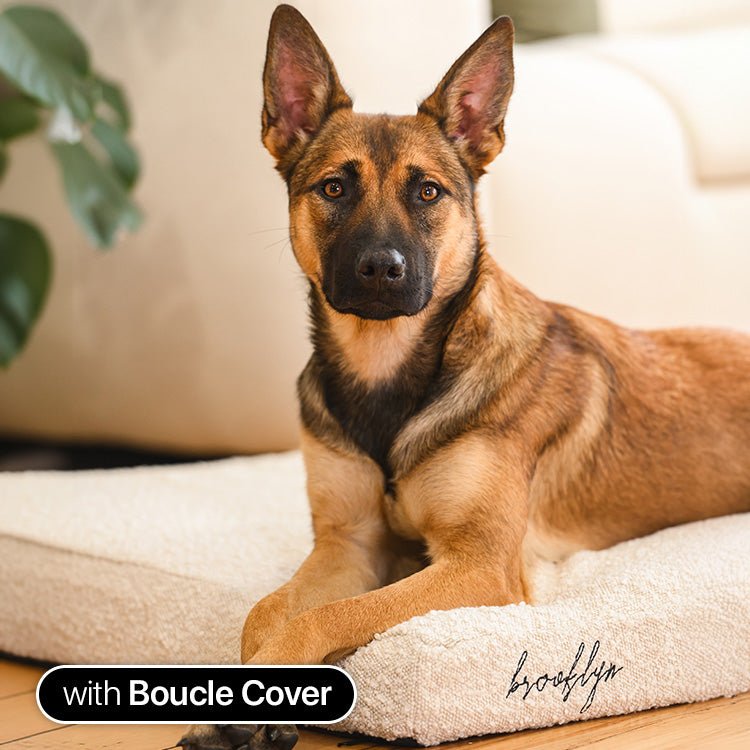 Brooklyn® Ultra Memory Foam Bed - Pet Supply