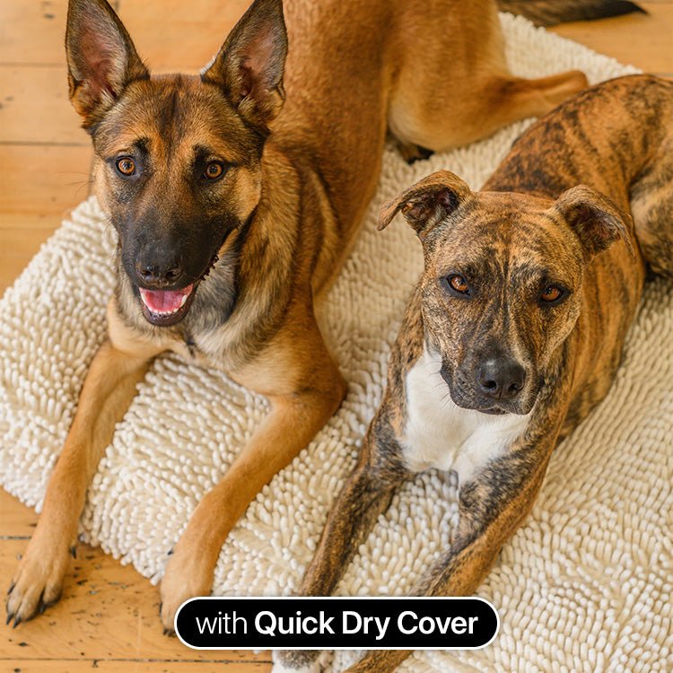 Brooklyn® Ultra Memory Foam Bed - Pet Supply