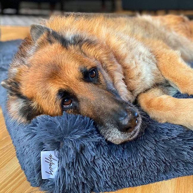 Brooklyn® Ultra Memory Foam Bed - Pet Supply