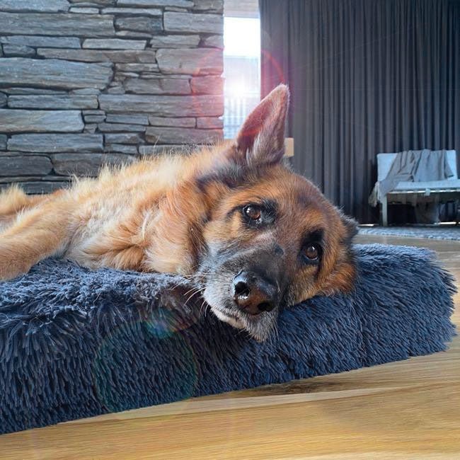 Brooklyn® Ultra Memory Foam Bed - Pet Supply