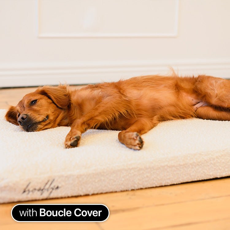 Brooklyn® Ultra Memory Foam Bed - Pet Supply