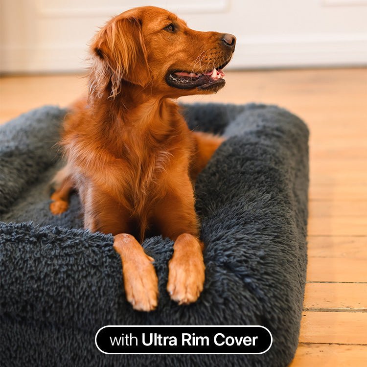 Brooklyn® Ultra Memory Foam Bed - Pet Supply