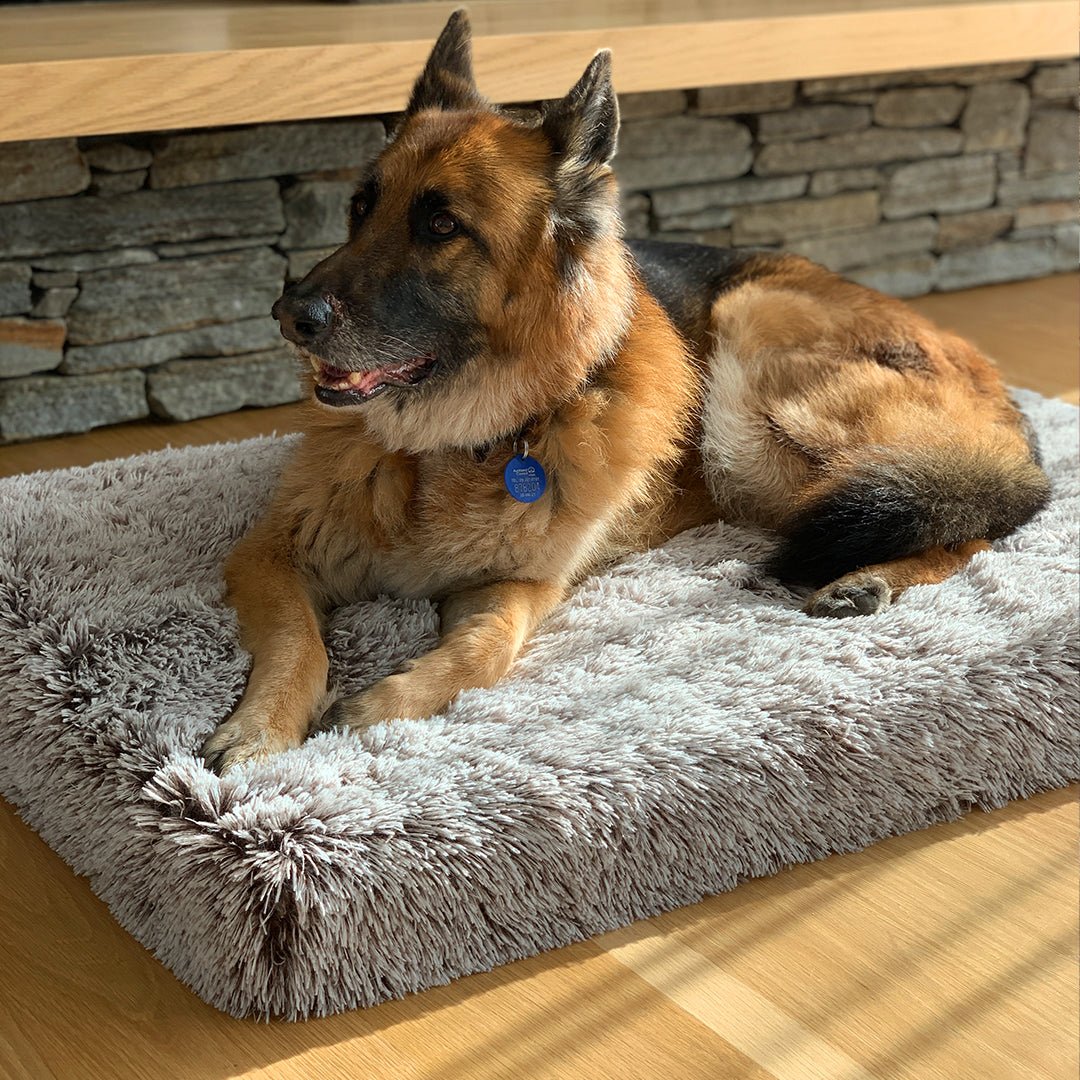 Brooklyn® Ultra Memory Foam Bed - Pet Supply