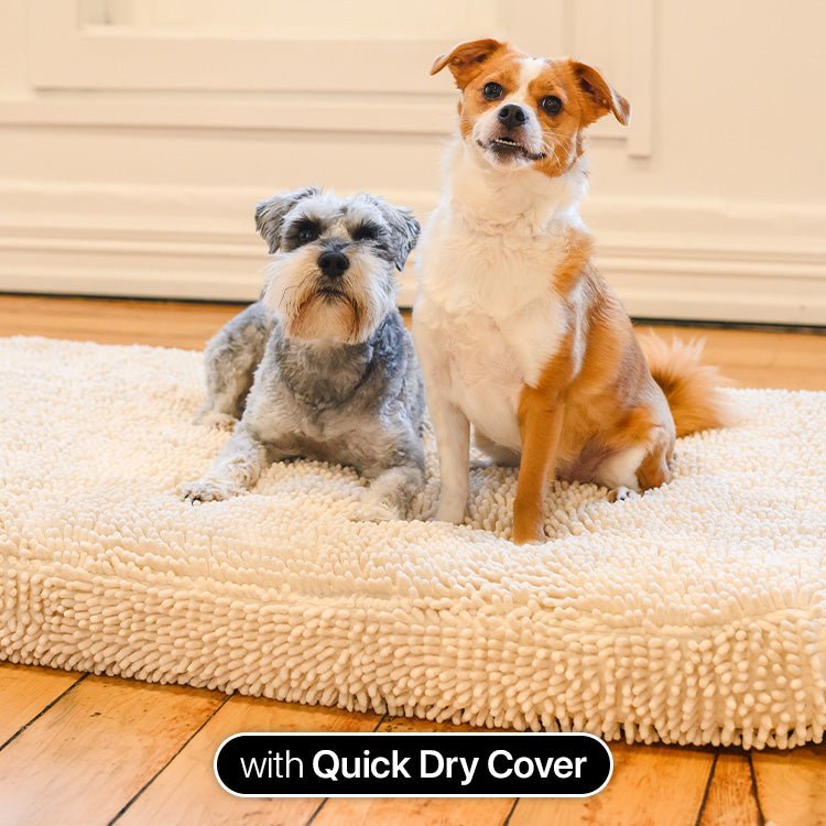 Brooklyn® Ultra Memory Foam Bed - Pet Supply