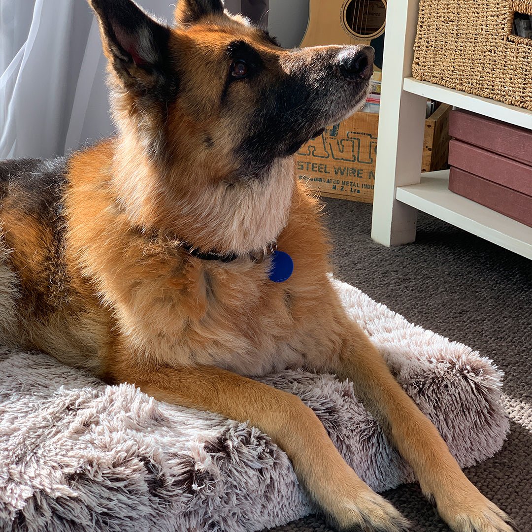 Brooklyn® Ultra Memory Foam Bed - Pet Supply