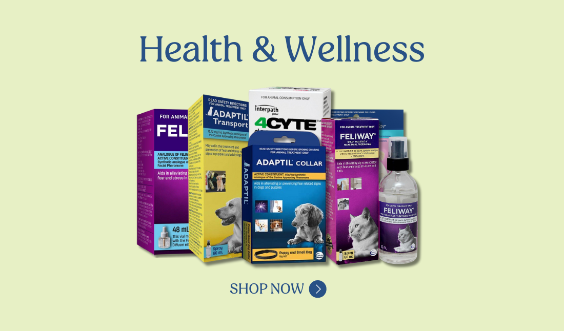health and wellness for pets