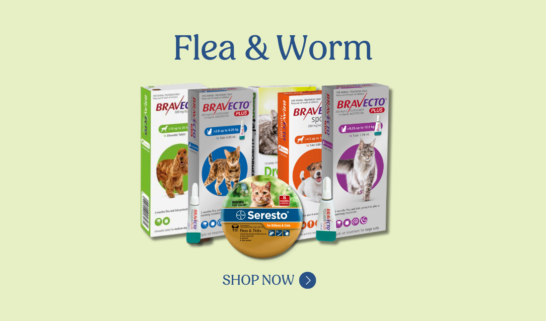 flea and worm