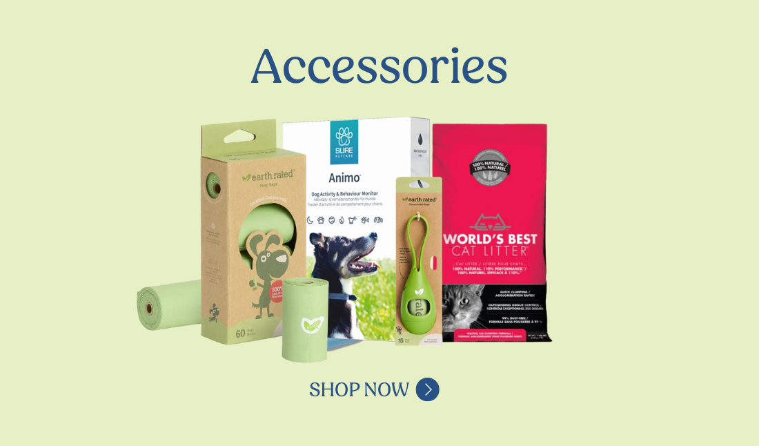 accessories for pets