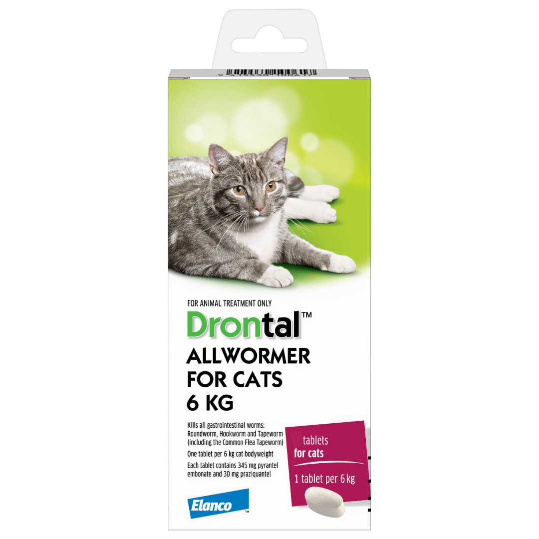 Drontal Worming Tablets for Cats (2 pack) - Pet Supply