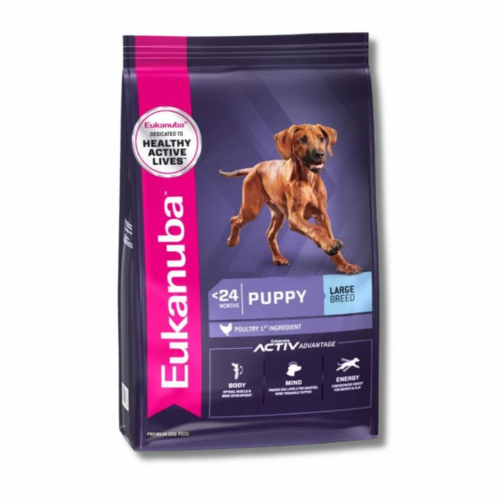 Eukanuba Puppy (Large Breed) Dog Food - Pet Supply