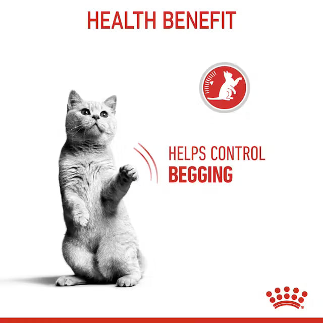 Royal Canin Cat Appetite Control Dry Food