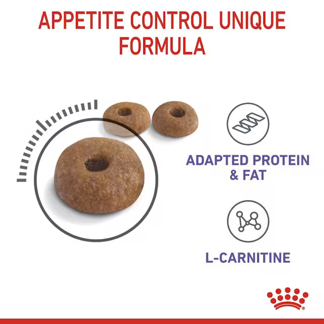 Royal Canin Cat Appetite Control Dry Food