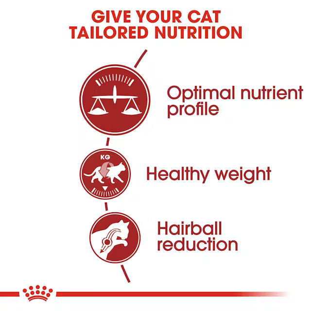Royal Canin Fit Dry Cat Food