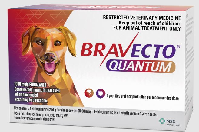 Bravecto Quantum Flea Treatment