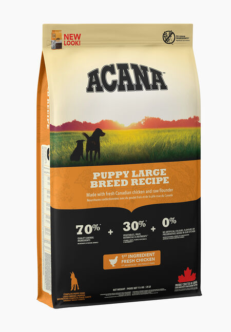 Acana Puppy Large Breed Dog Food