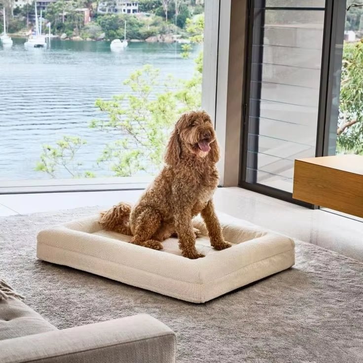 Lumii Lux - Orthopaedic Dog Bed - Pet Supply