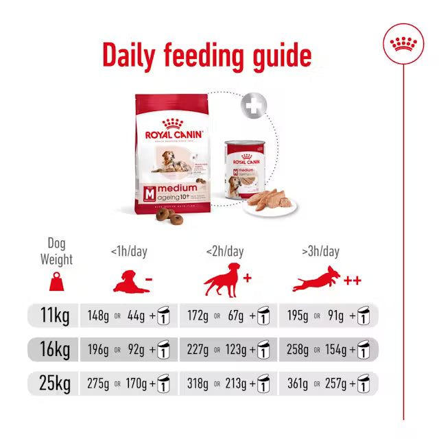 Royal Canin Medium Ageing 10+ Dry Dog Food - 3 kg