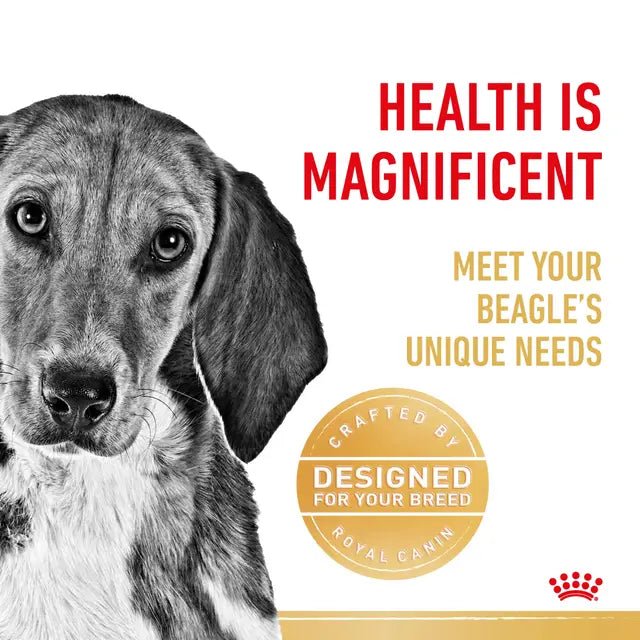 Royal Canin Beagle Adult Dry Dog Food - 3kg - Pet Supply