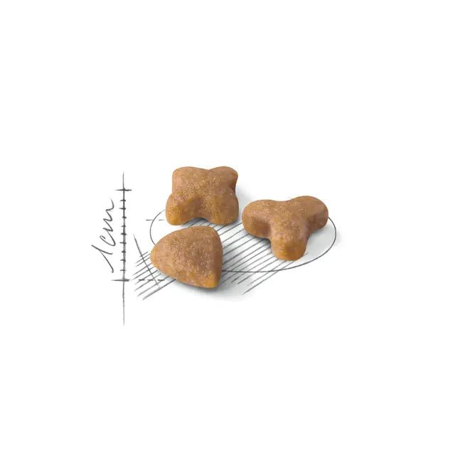 Royal Canin Cat Sensible 33 Dry Food - Pet Supply