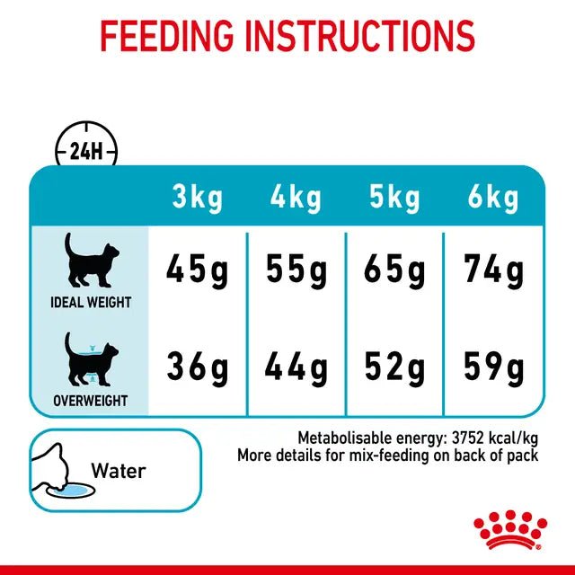 Royal Canin Cat Urinary Care Dry Food - Pet Supply