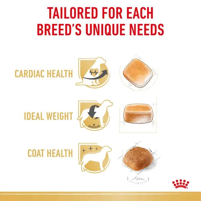 Royal Canin Cavalier King Charles Adult Dry Dog Food - Pet Supply