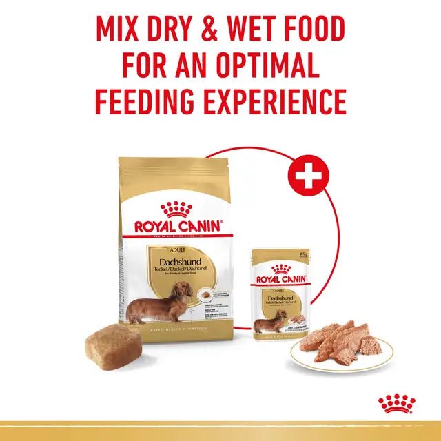 Royal Canin Dachshund Adult Dry Dog Food – 1.5kg - Pet Supply