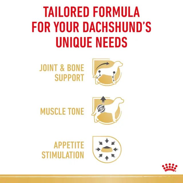 Royal Canin Dachshund Wet Dog Food – 85g (12 Pack) - Pet Supply