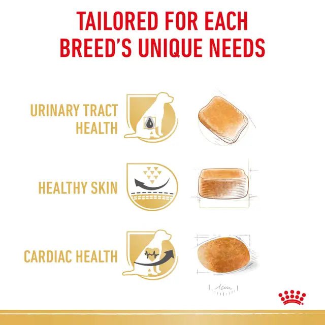 Royal Canin Dalmatian Adult Dry Dog Food – 12kg - Pet Supply