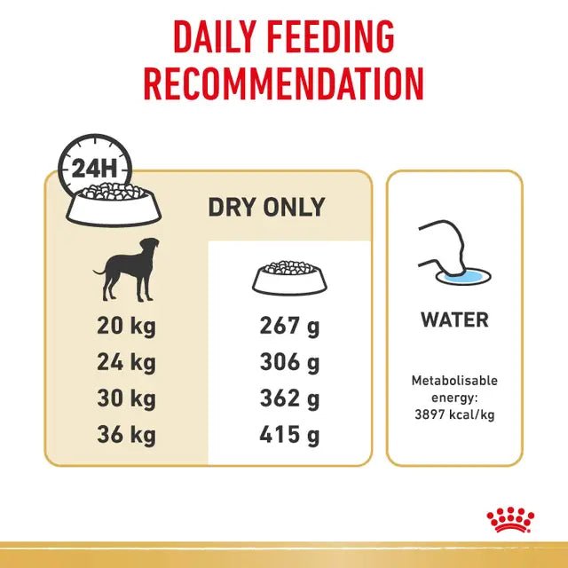 Royal Canin Dalmatian Adult Dry Dog Food – 12kg - Pet Supply