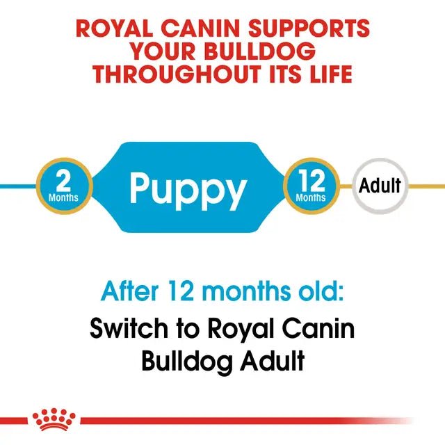 Royal Canin French Bulldog Puppy Dry Dog Food – 3kg - Pet Supply