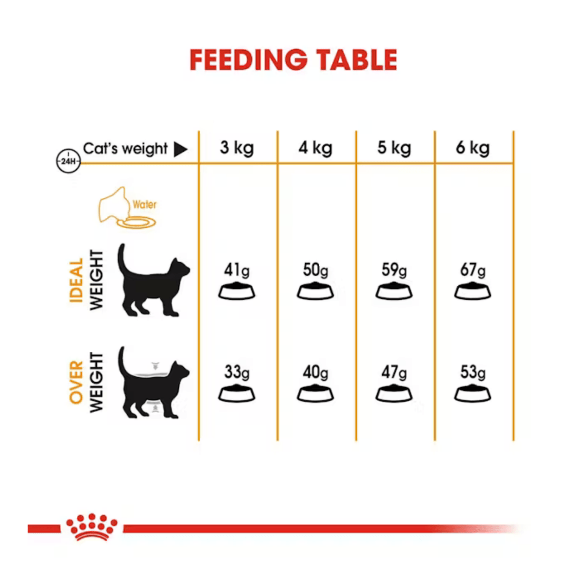Royal Canin Hair and Skin Care Cat Food - Pet Supply