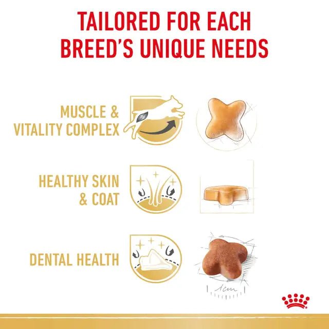 Royal Canin Jack Russell Terrier Adult Dry Dog Food – 1.5kg - Pet Supply