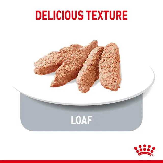 Royal Canin Light Weight Care Dog Loaf 85g – 12 Pack - Pet Supply