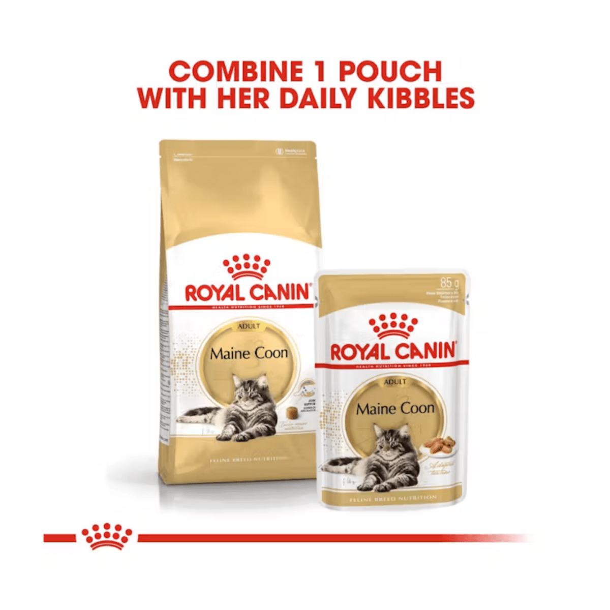 Royal Canin Maine Coon Dry Cat Food - Pet Supply