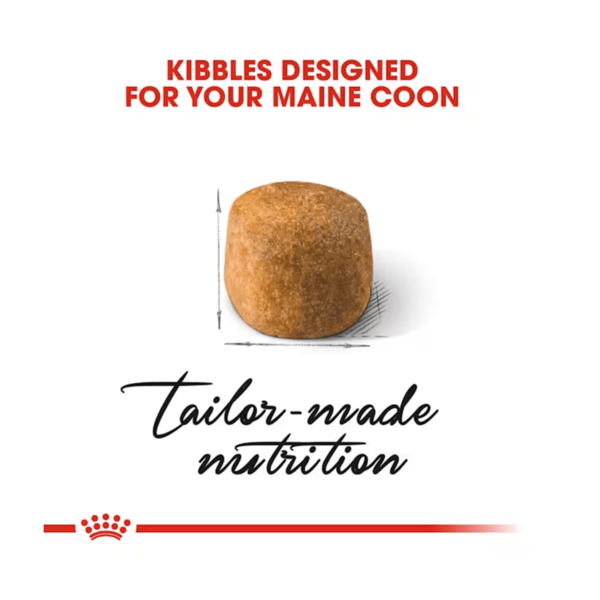 Royal Canin Maine Coon Dry Cat Food - Pet Supply