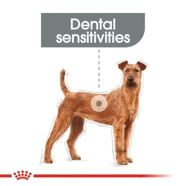 Royal Canin Medium Dog Dental Care - 3 kg - Pet Supply
