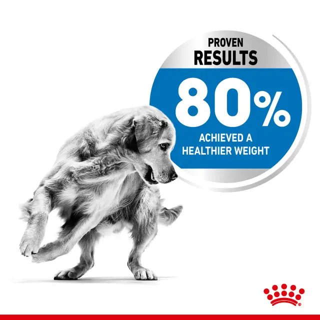 Royal Canin Medium Light Weight Care Dry Dog Food - Pet Supply