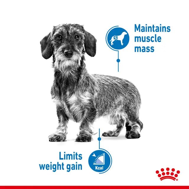 Royal Canin Mini Light Weight Care Dry Dog Food - 3 kg - Pet Supply