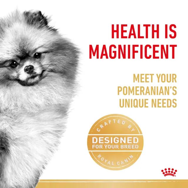 Royal Canin Pomeranian Adult Wet Dog Food – 85g x 12 - Pet Supply