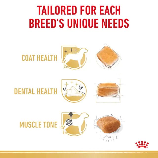 Royal Canin Poodle Adult Dry Dog Food - Pet Supply