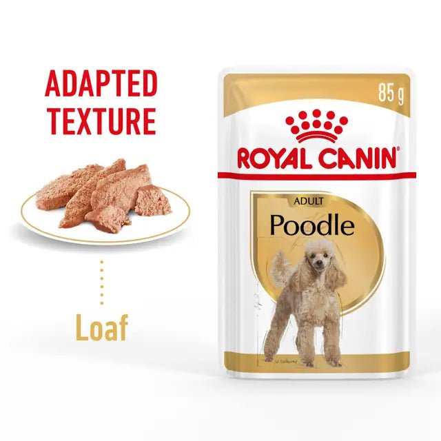 Royal Canin Poodle Adult Wet Dog Food – 85g x 12 - Pet Supply