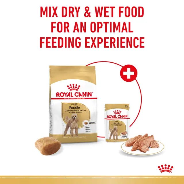 Royal Canin Poodle Adult Wet Dog Food – 85g x 12 - Pet Supply