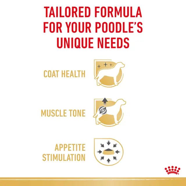 Royal Canin Poodle Adult Wet Dog Food – 85g x 12 - Pet Supply